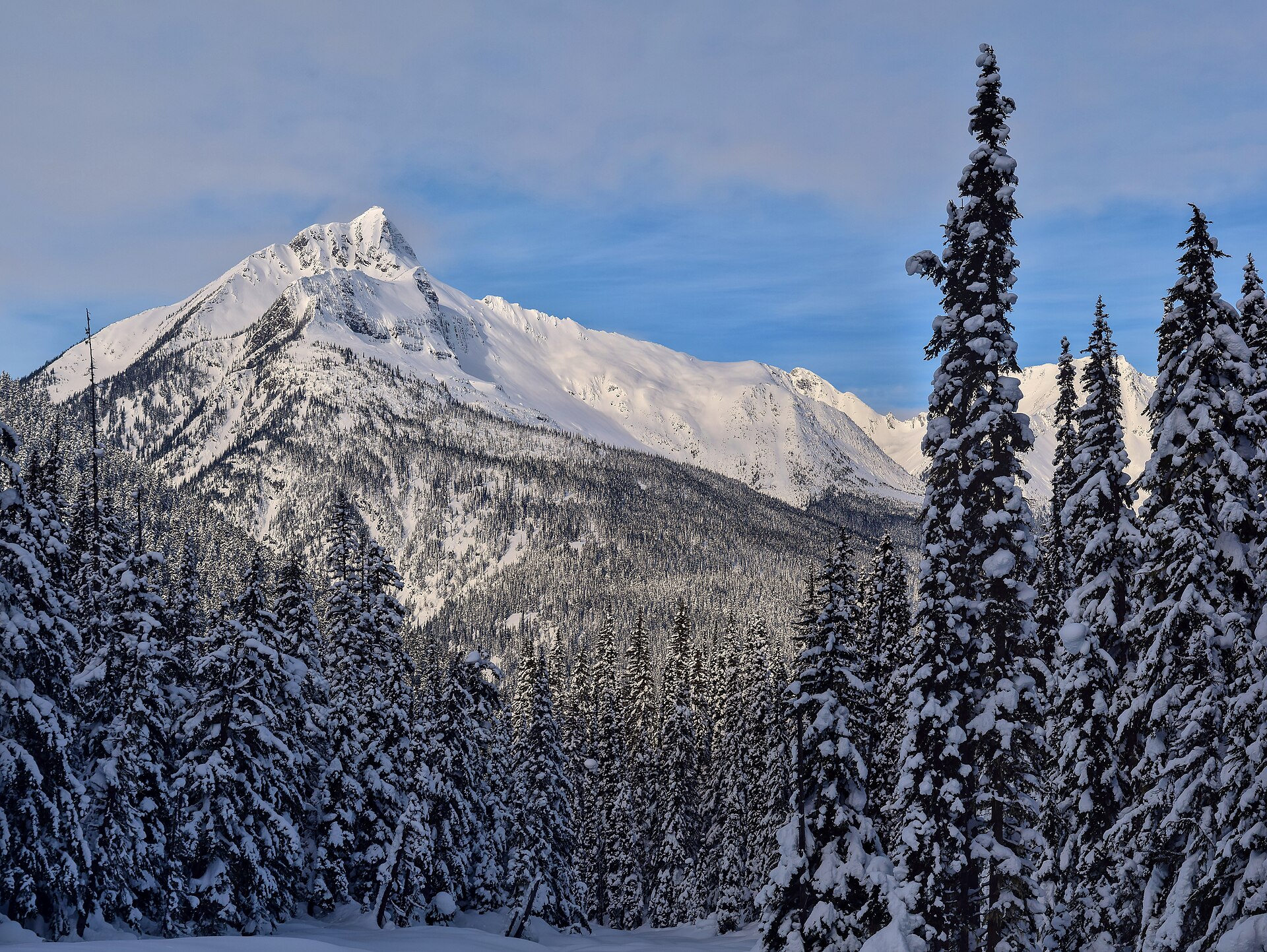 Snow-covered Cheops Mountain above forest in Glacier National Park