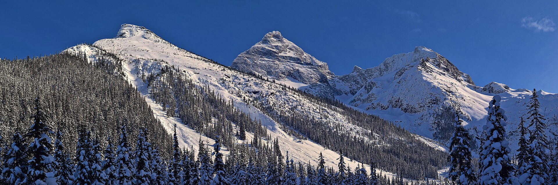 A snowy panorama of Mount Sir Donald in the Selkirk Mountains