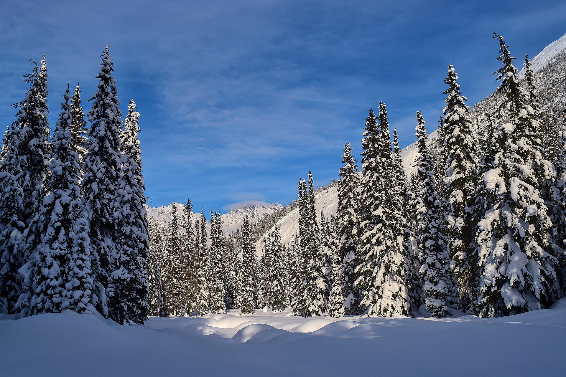 Mount Tupper covered in snow above Glacier National Park