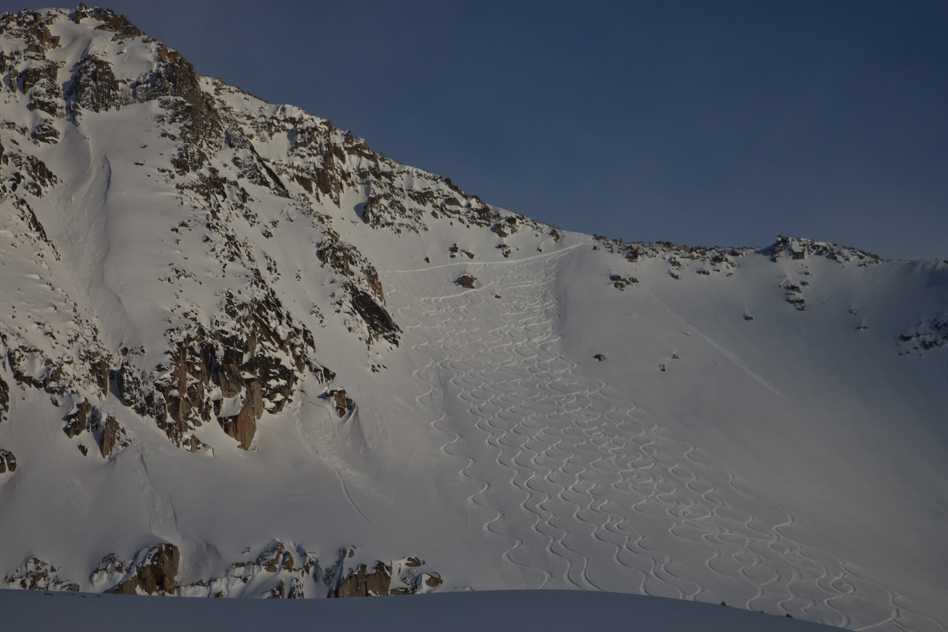 Fresh ski tracks descending an open powder slope in the Selkirk Mountains