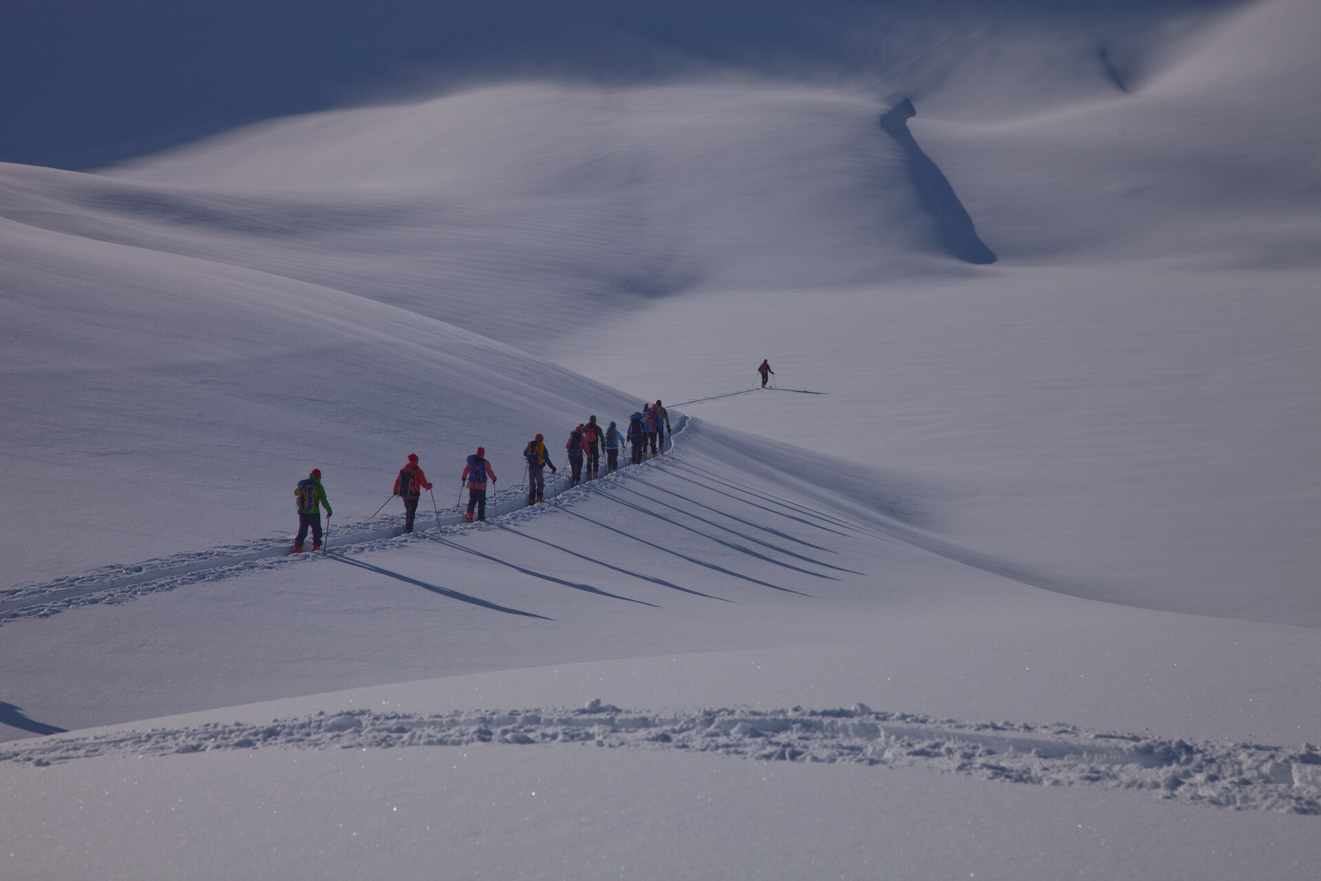 A line of ski tourers casting long shadows across rolling snow