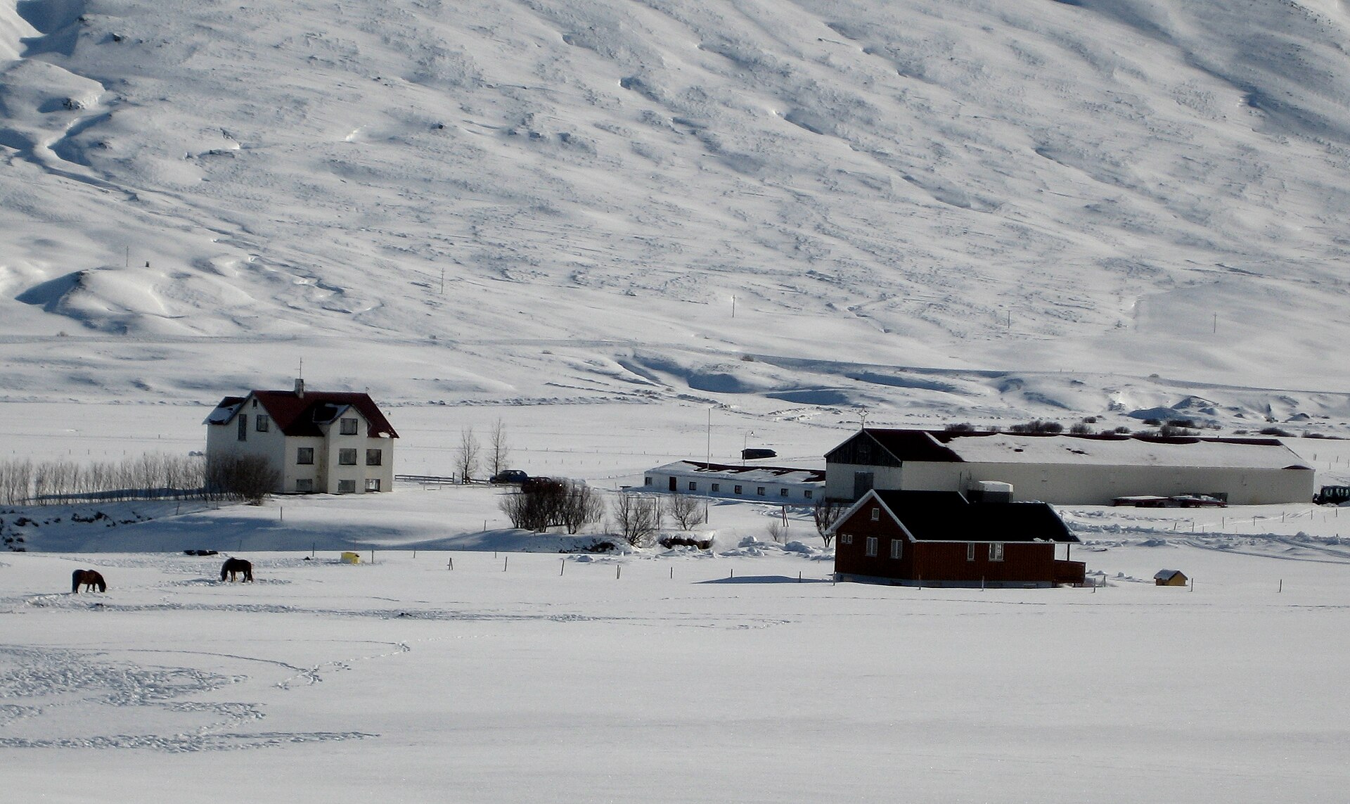 Horses and farm buildings in a snow-covered Svarfaðardalur