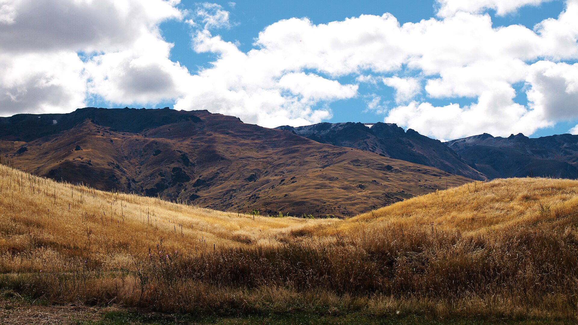 Golden tussock and dark schist ridges on Mount Pisa