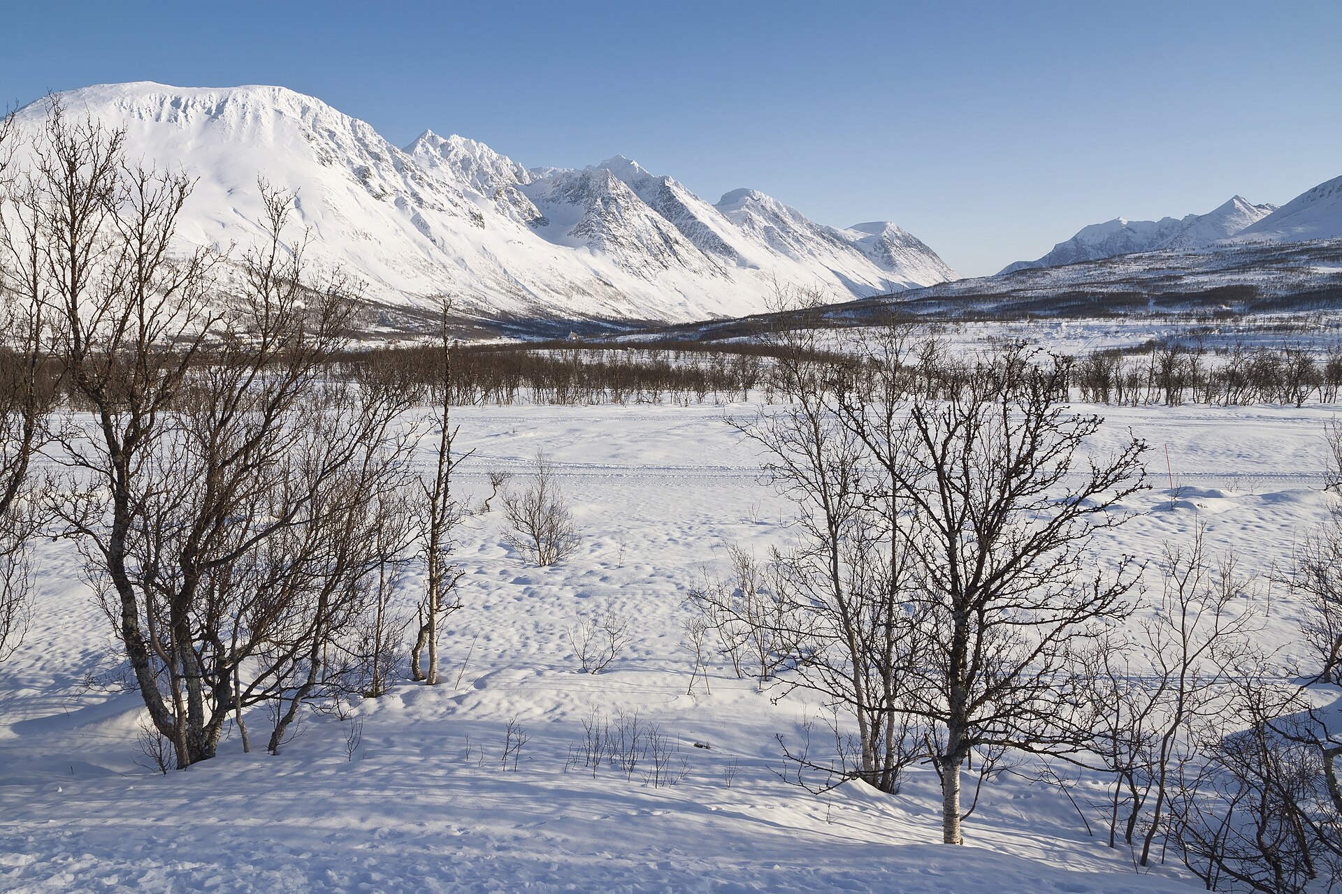 Snow-covered Lyngen Alps seen from Nord-Lenangen