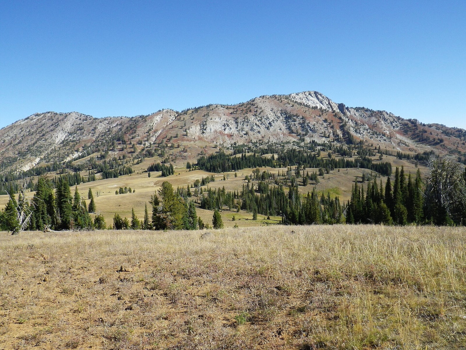 Cornucopia Peak rising above forest in the southern Wallowas