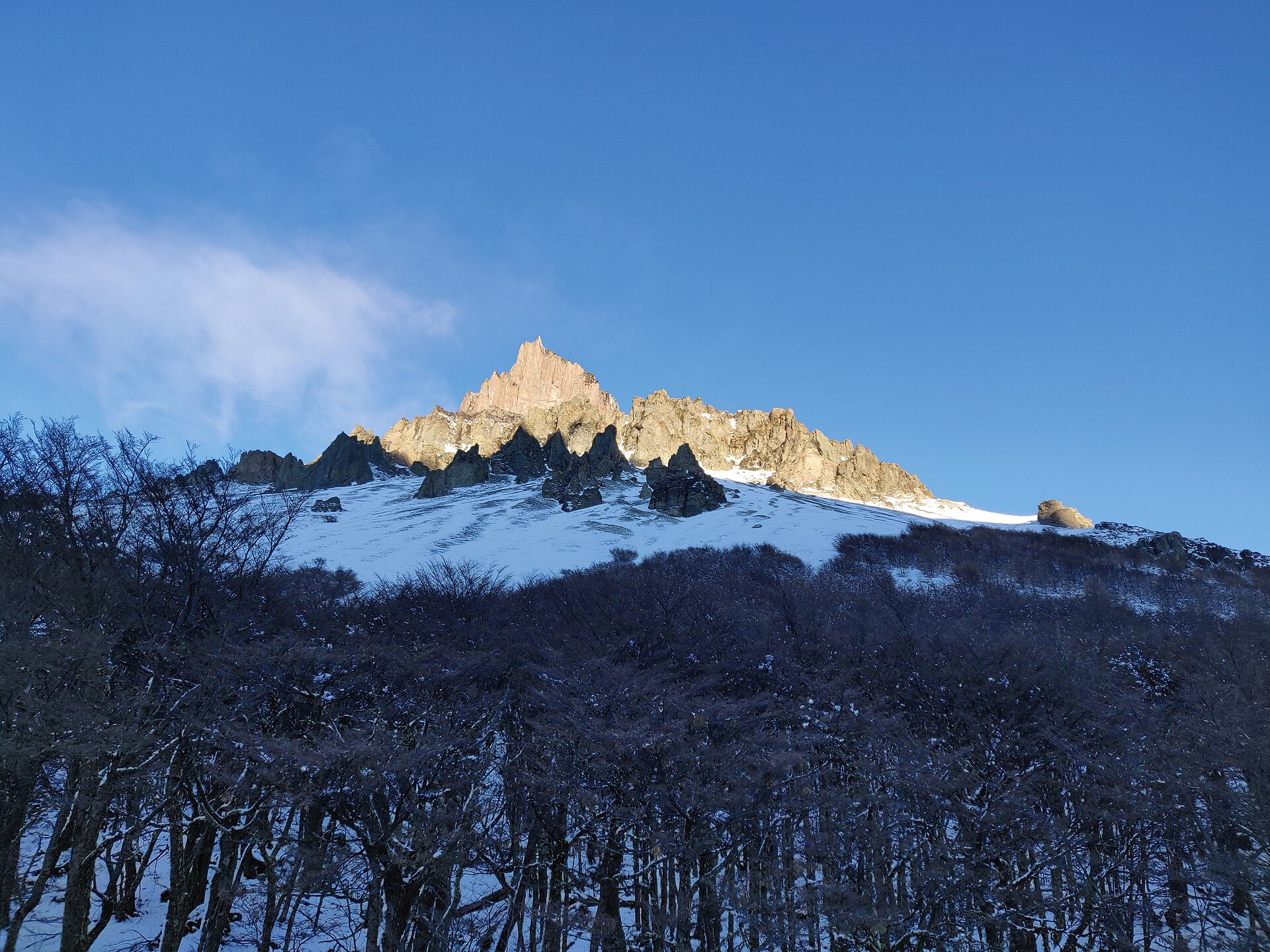 Sunlit Cerro Castillo above snow-dusted lenga forest