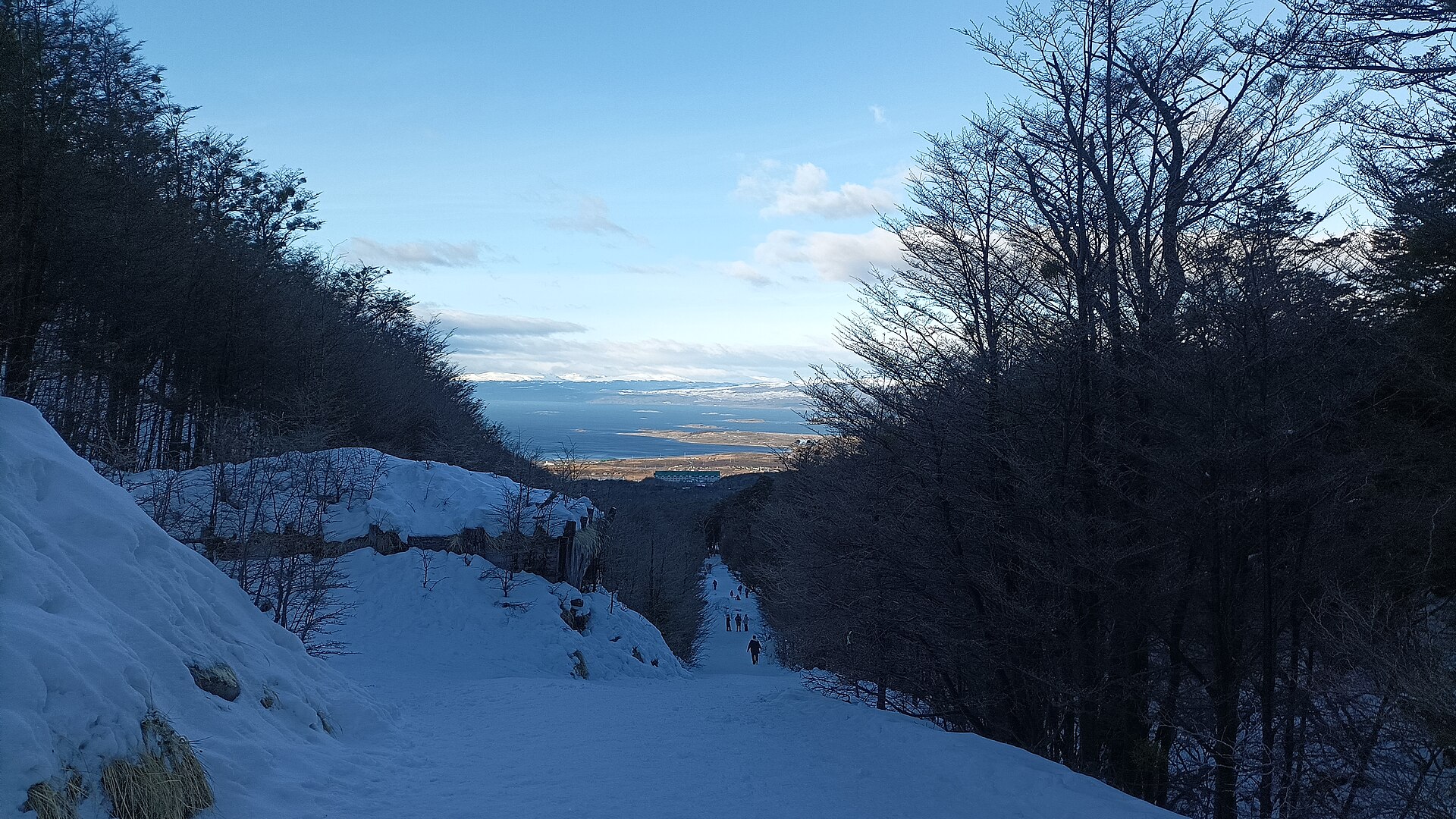 Snowy forest above Ushuaia with the city and Beagle Channel below
