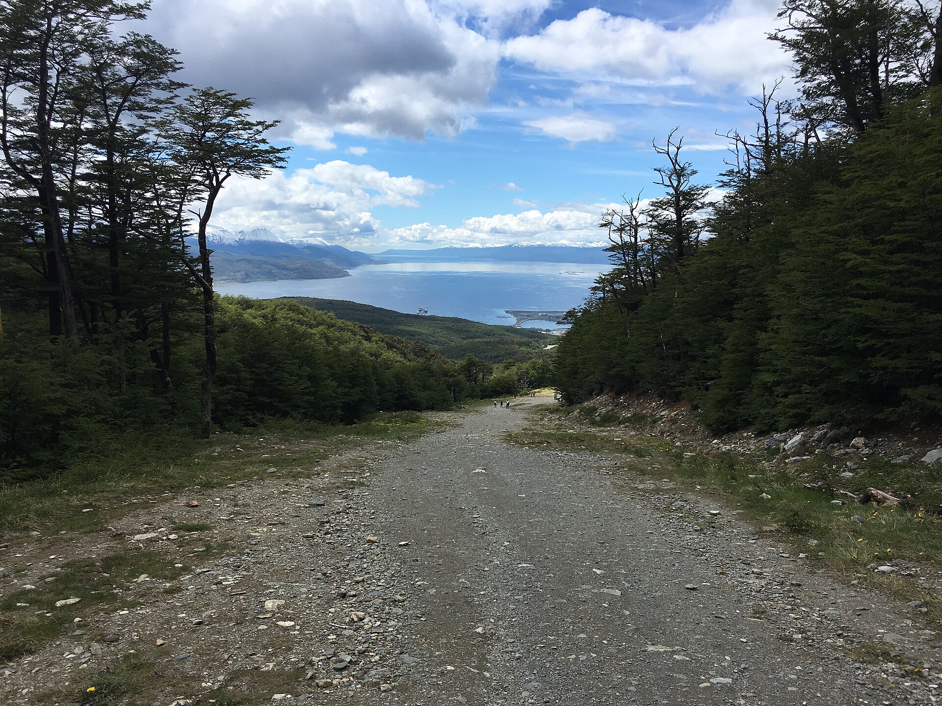 The former Martial ski slope climbing through forest above Ushuaia