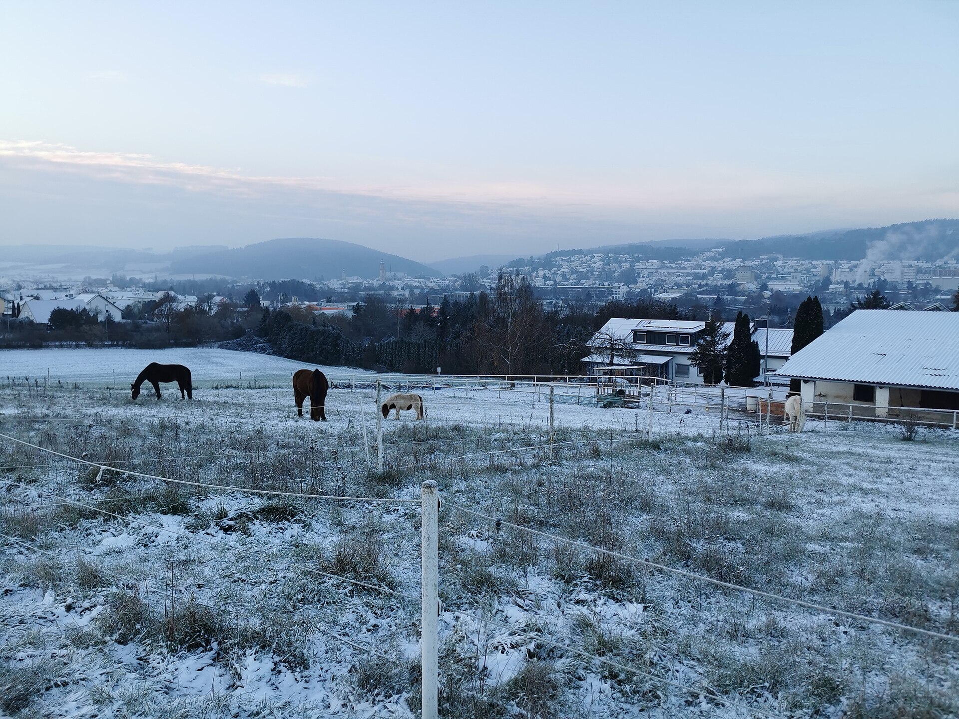 Horses outside a farm in fresh snow at Tauberbischofsheim, Germany